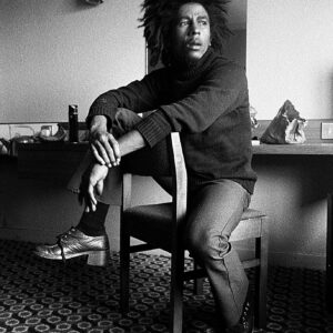 Imersão #Marley80